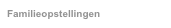 Familieopstellingen