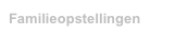 Familieopstellingen