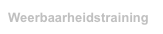 Weerbaarheidstraining